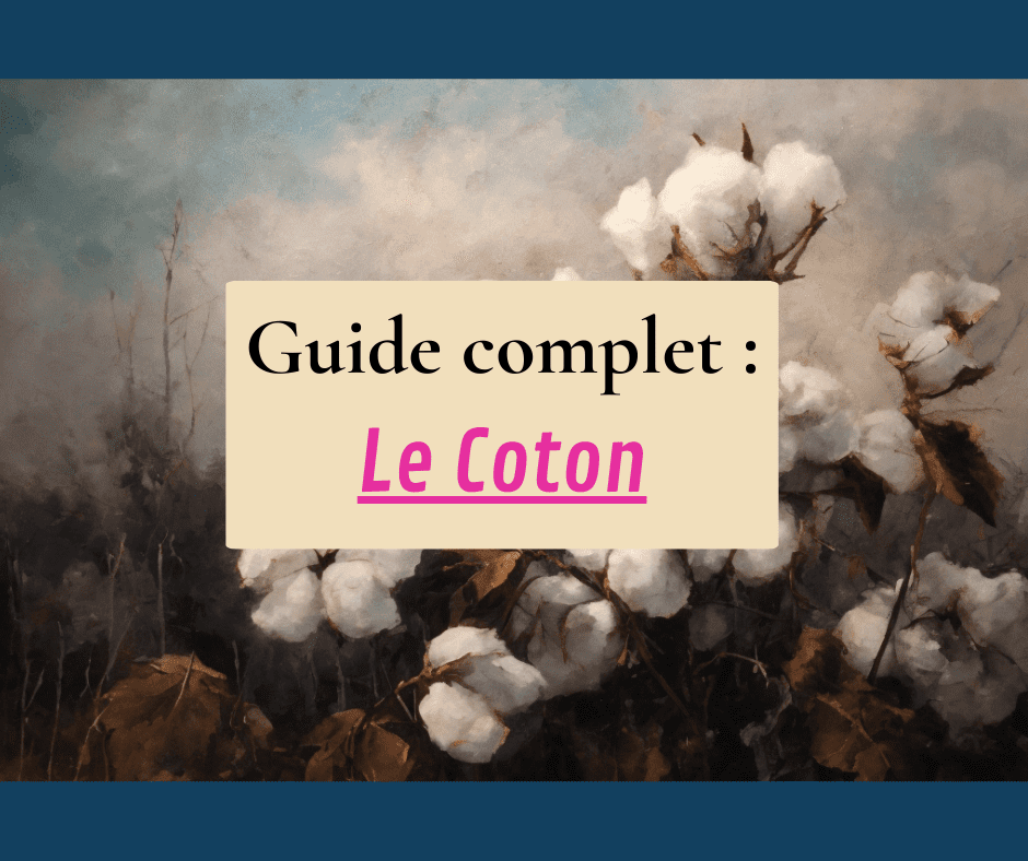 Le Coton : Tout savoir sur cette fibre végétale